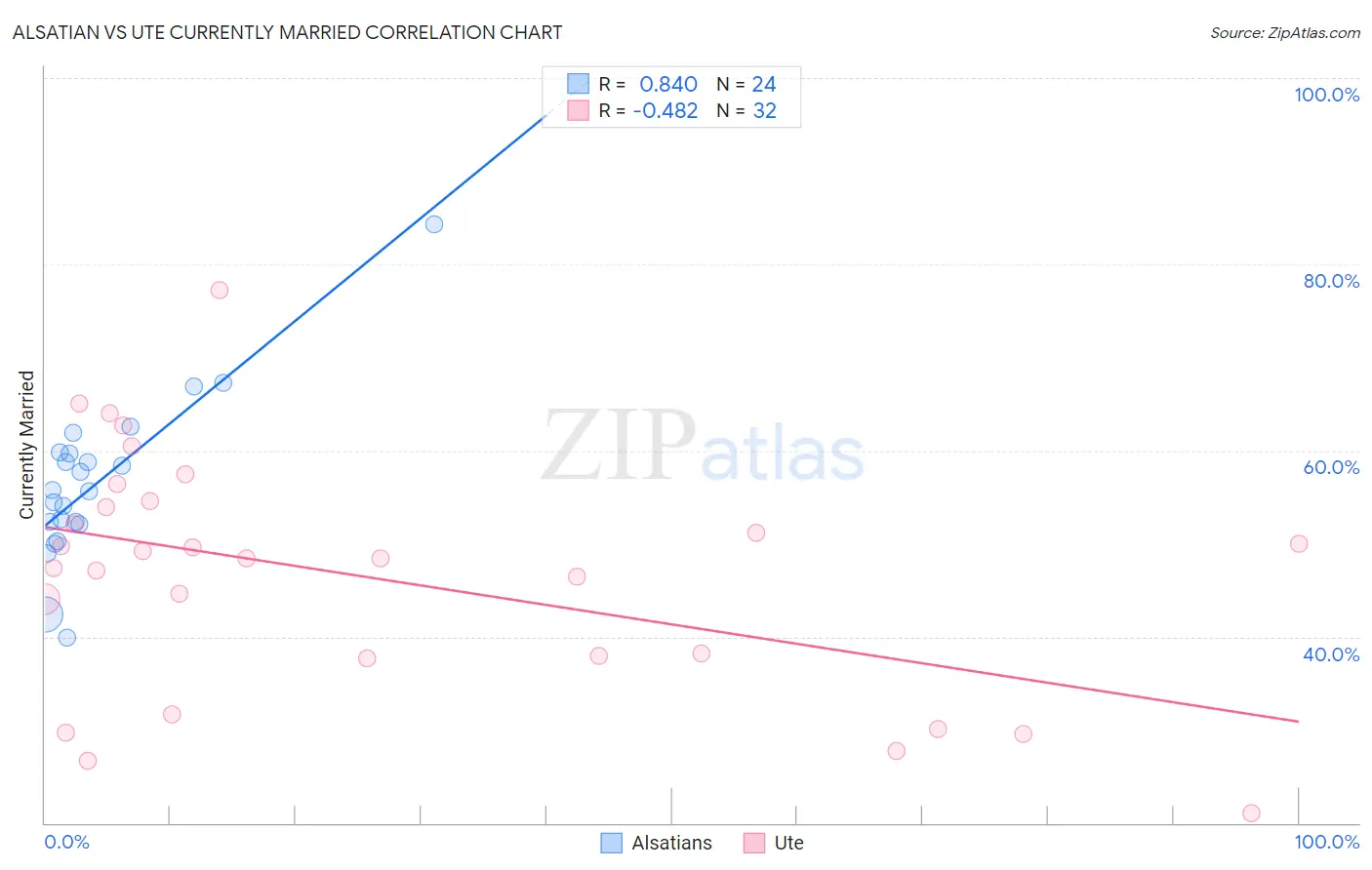 Alsatian vs Ute Currently Married