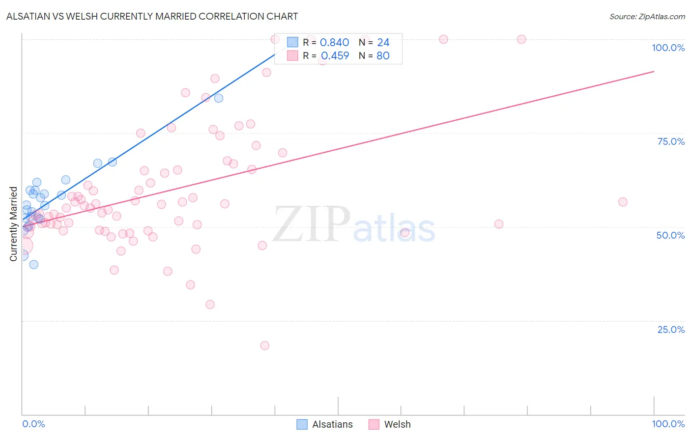 Alsatian vs Welsh Currently Married