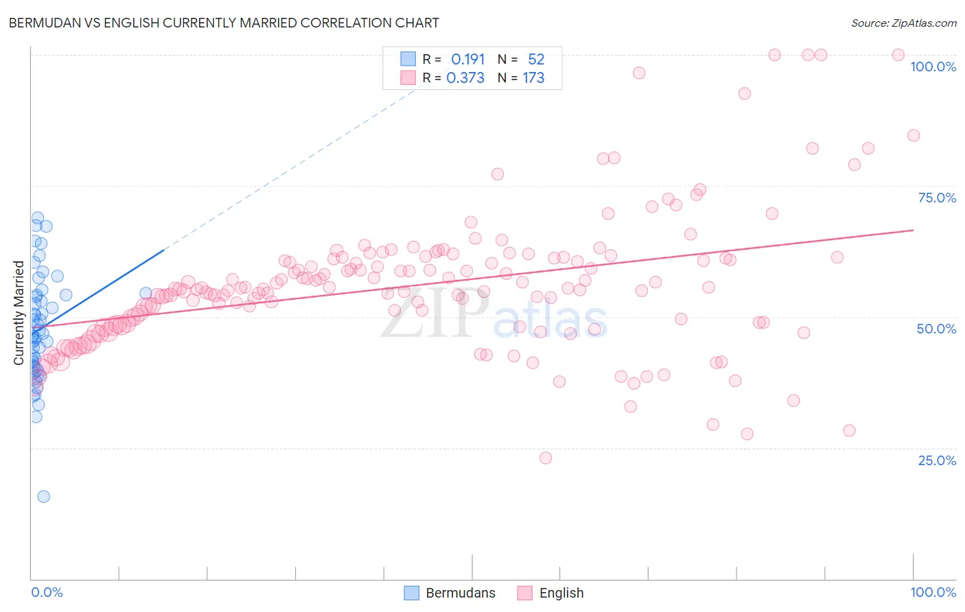 Bermudan vs English Currently Married