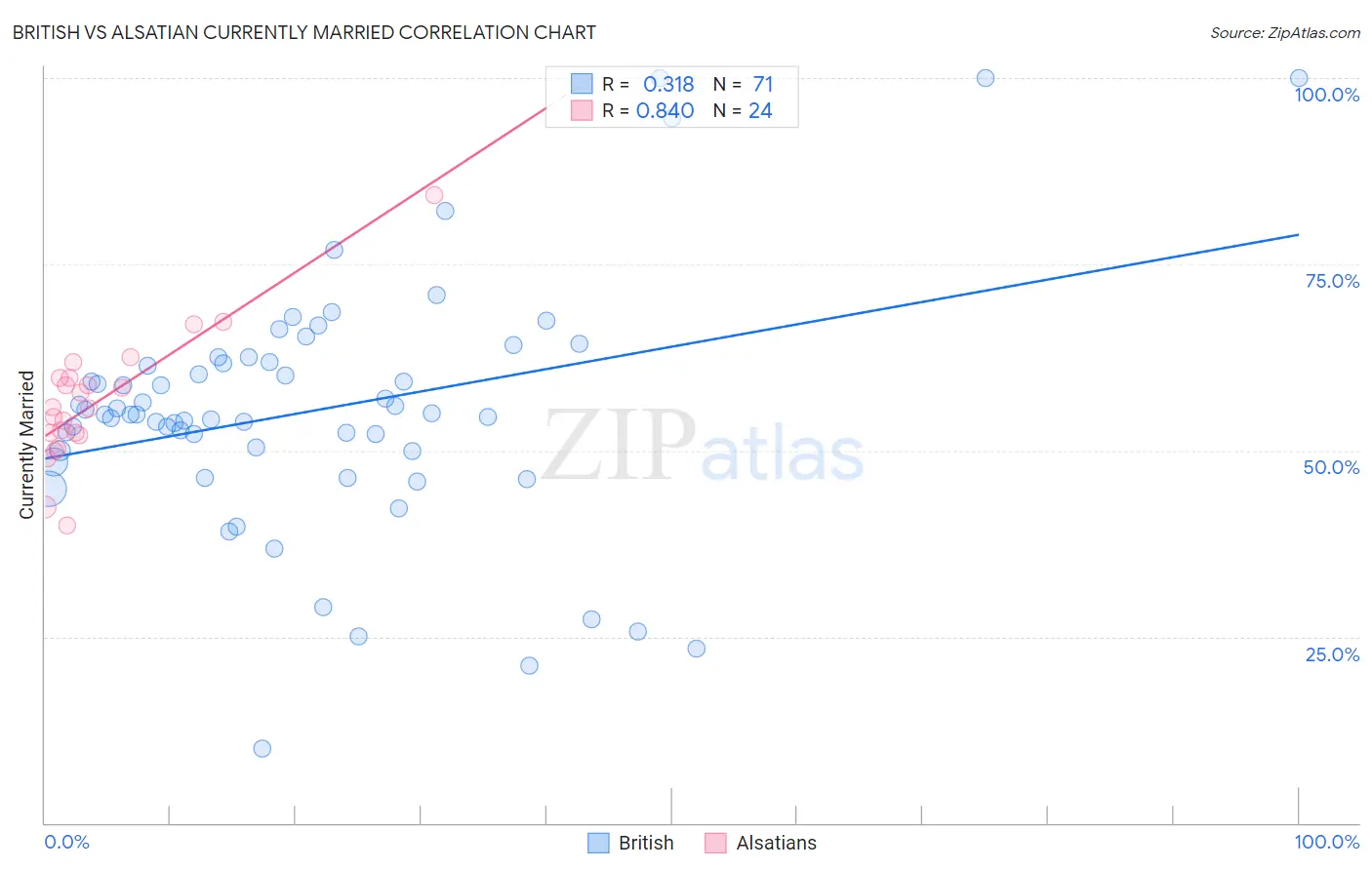 British vs Alsatian Currently Married