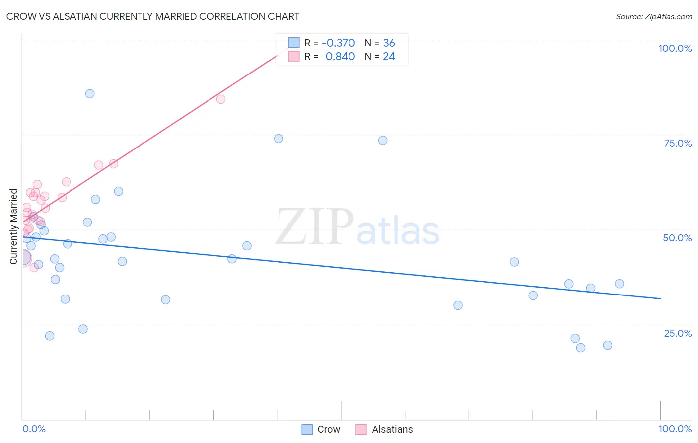 Crow vs Alsatian Currently Married