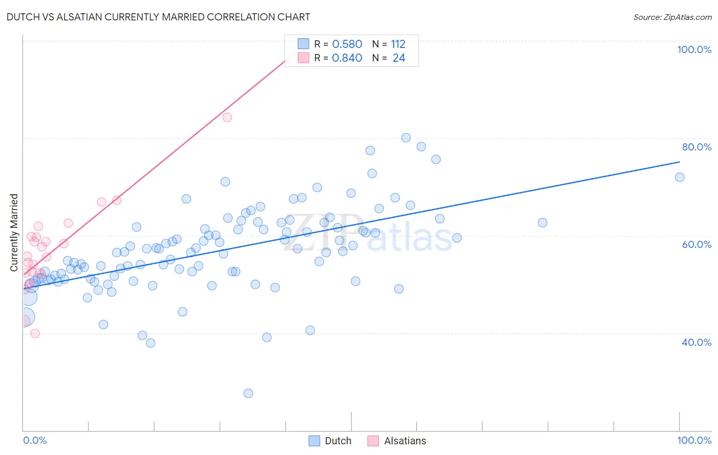 Dutch vs Alsatian Currently Married