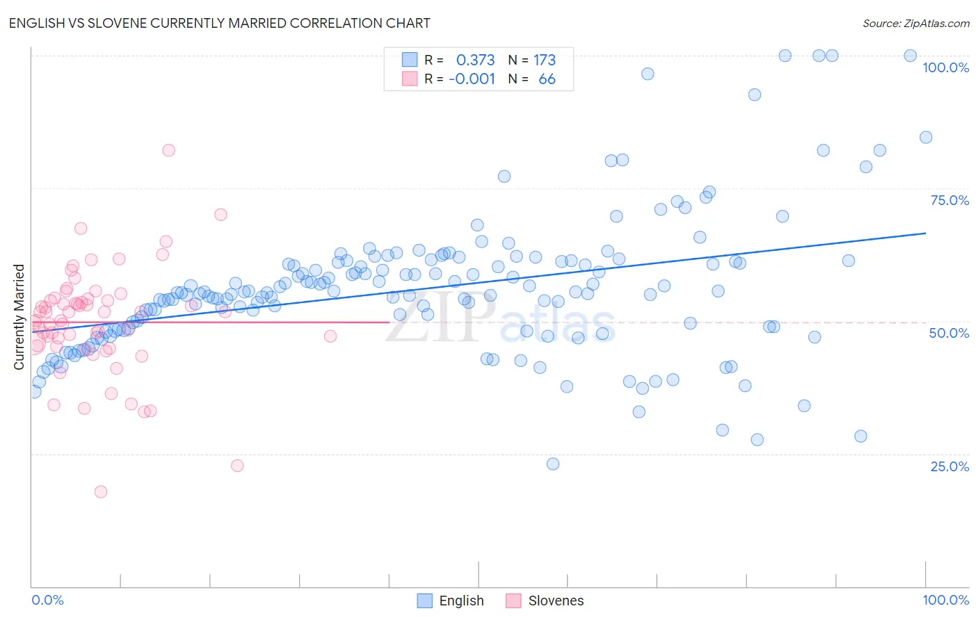 English vs Slovene Currently Married