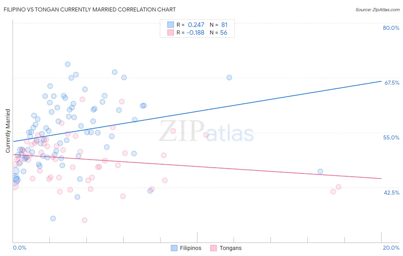 Filipino vs Tongan Currently Married