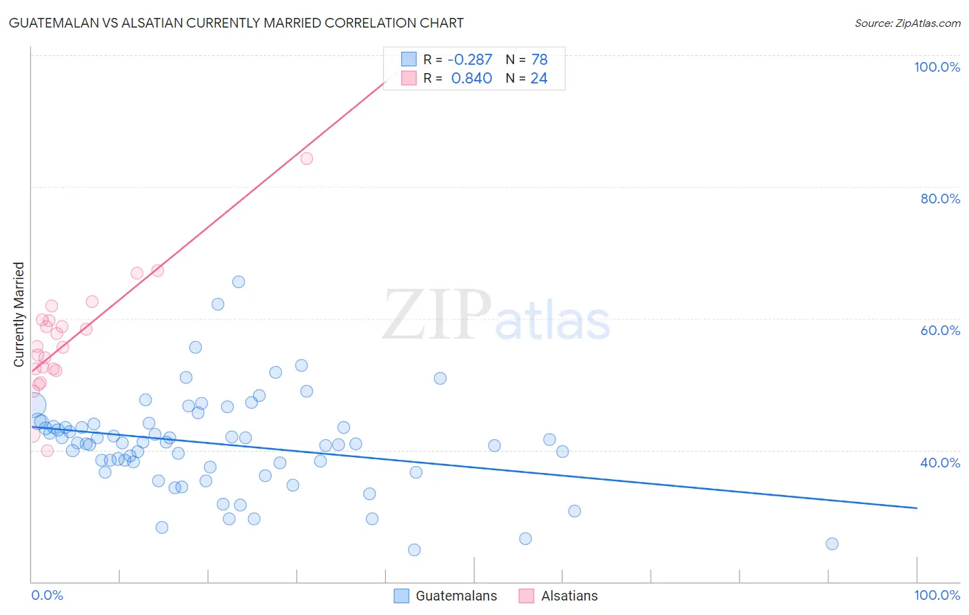 Guatemalan vs Alsatian Currently Married