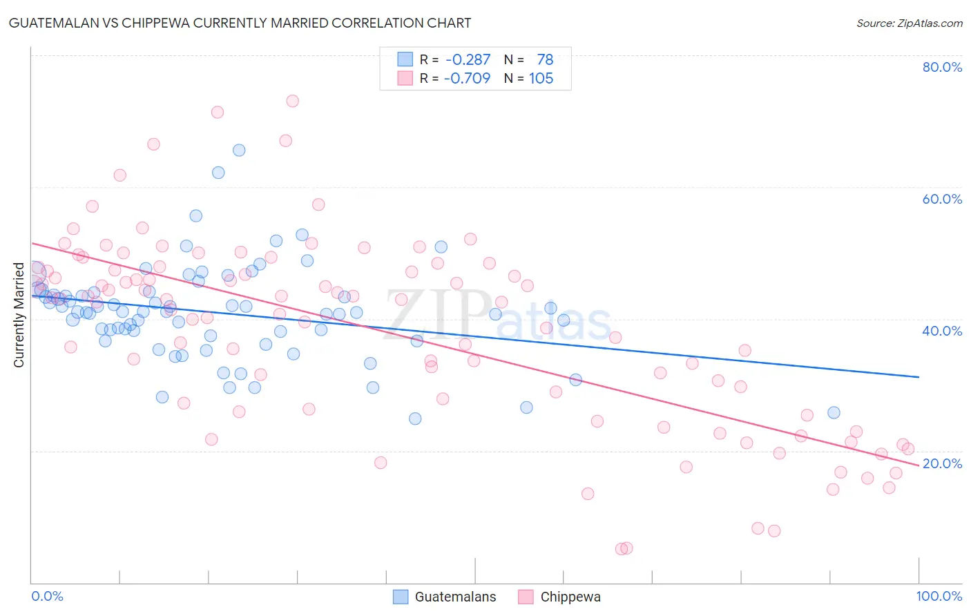 Guatemalan vs Chippewa Currently Married