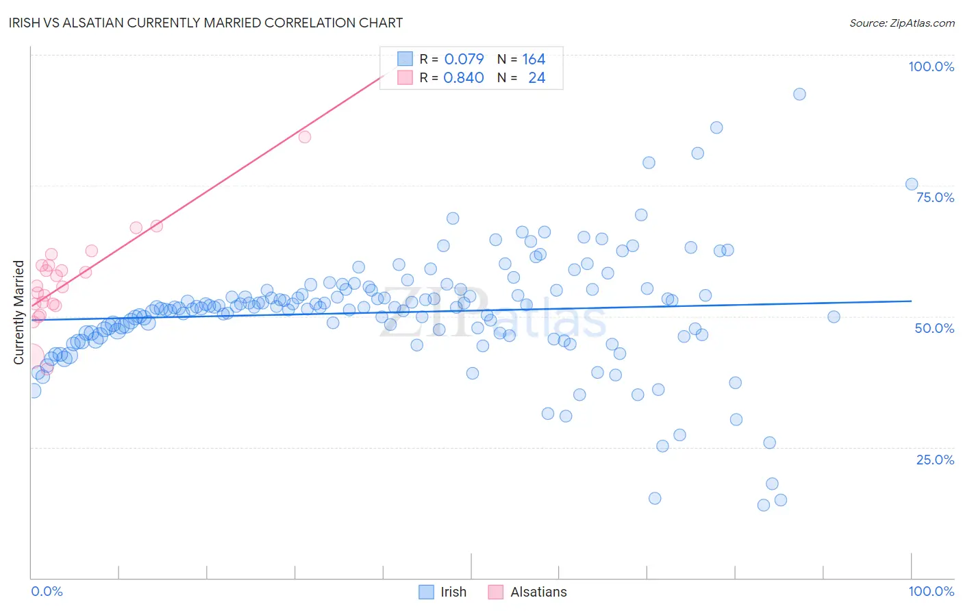 Irish vs Alsatian Currently Married