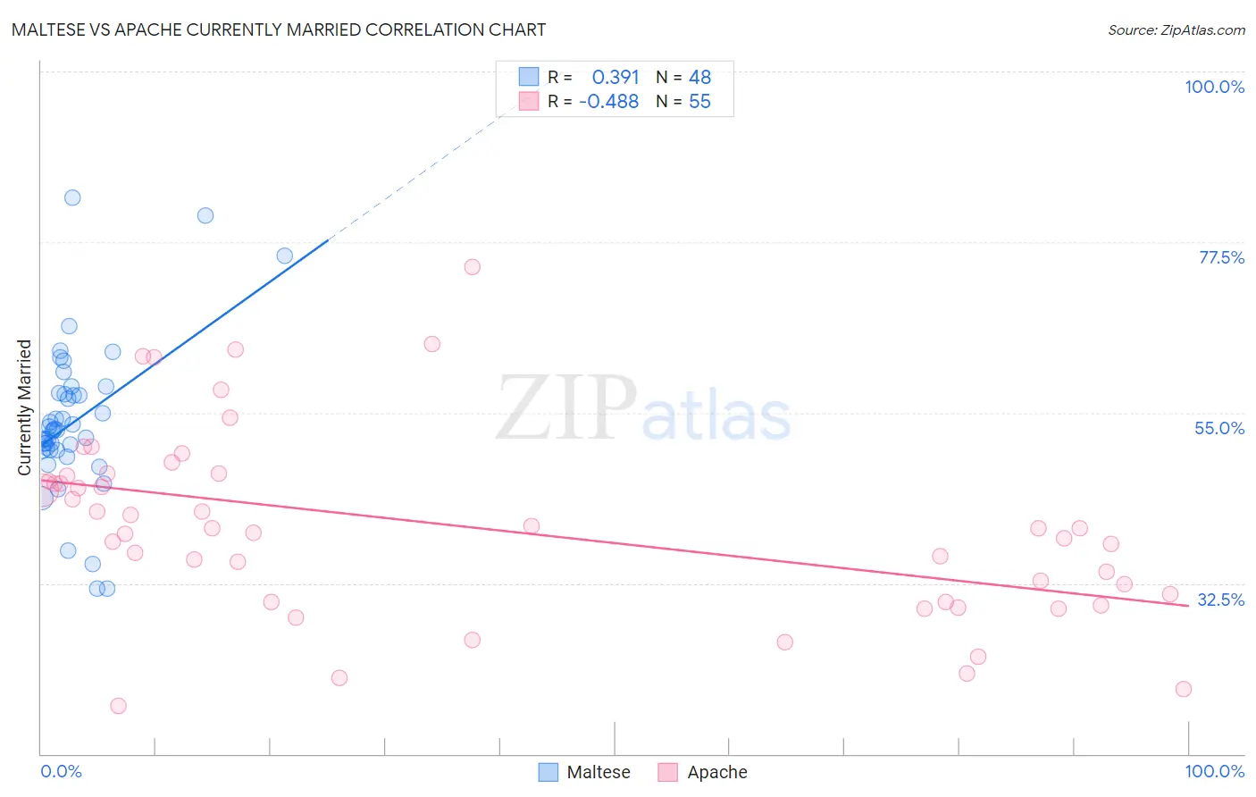 Maltese vs Apache Currently Married