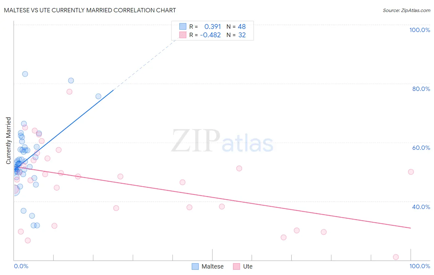 Maltese vs Ute Currently Married