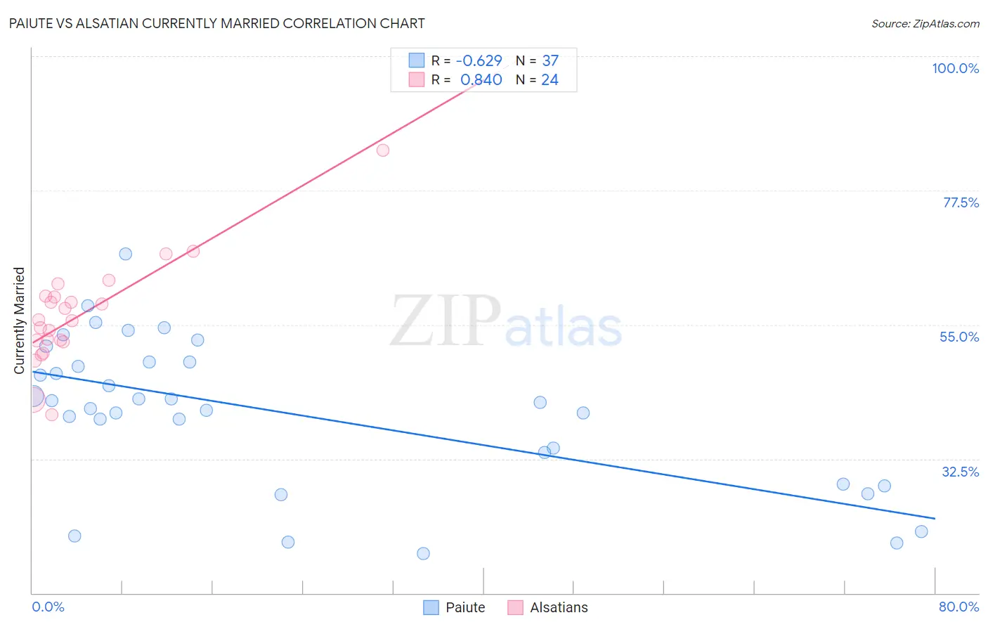 Paiute vs Alsatian Currently Married