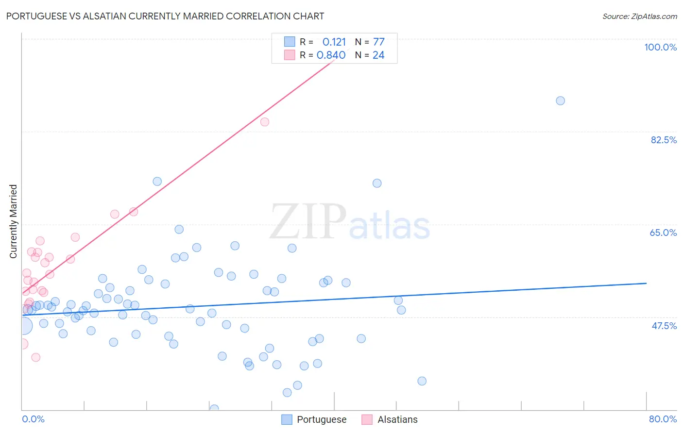 Portuguese vs Alsatian Currently Married