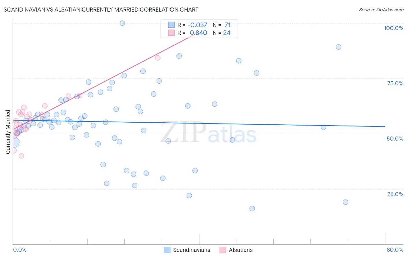 Scandinavian vs Alsatian Currently Married
