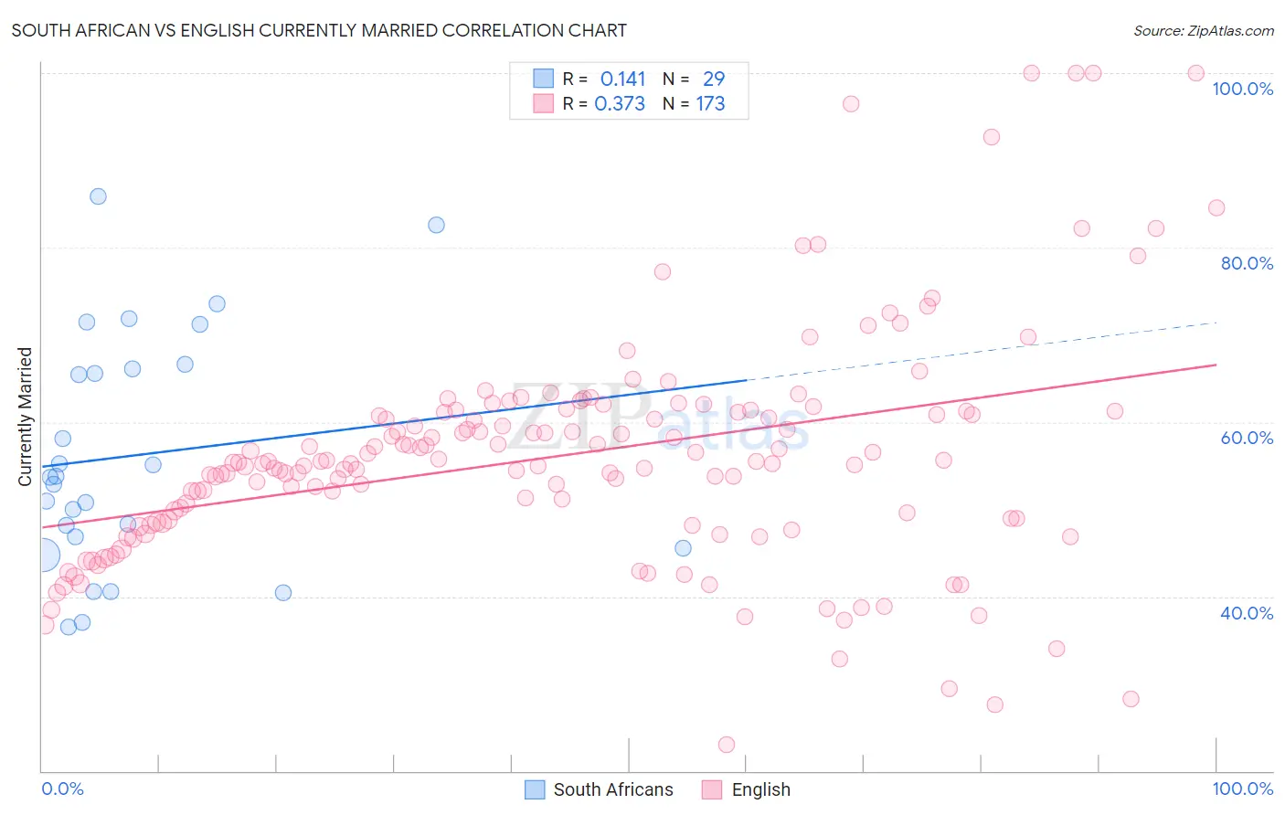 South African vs English Currently Married
