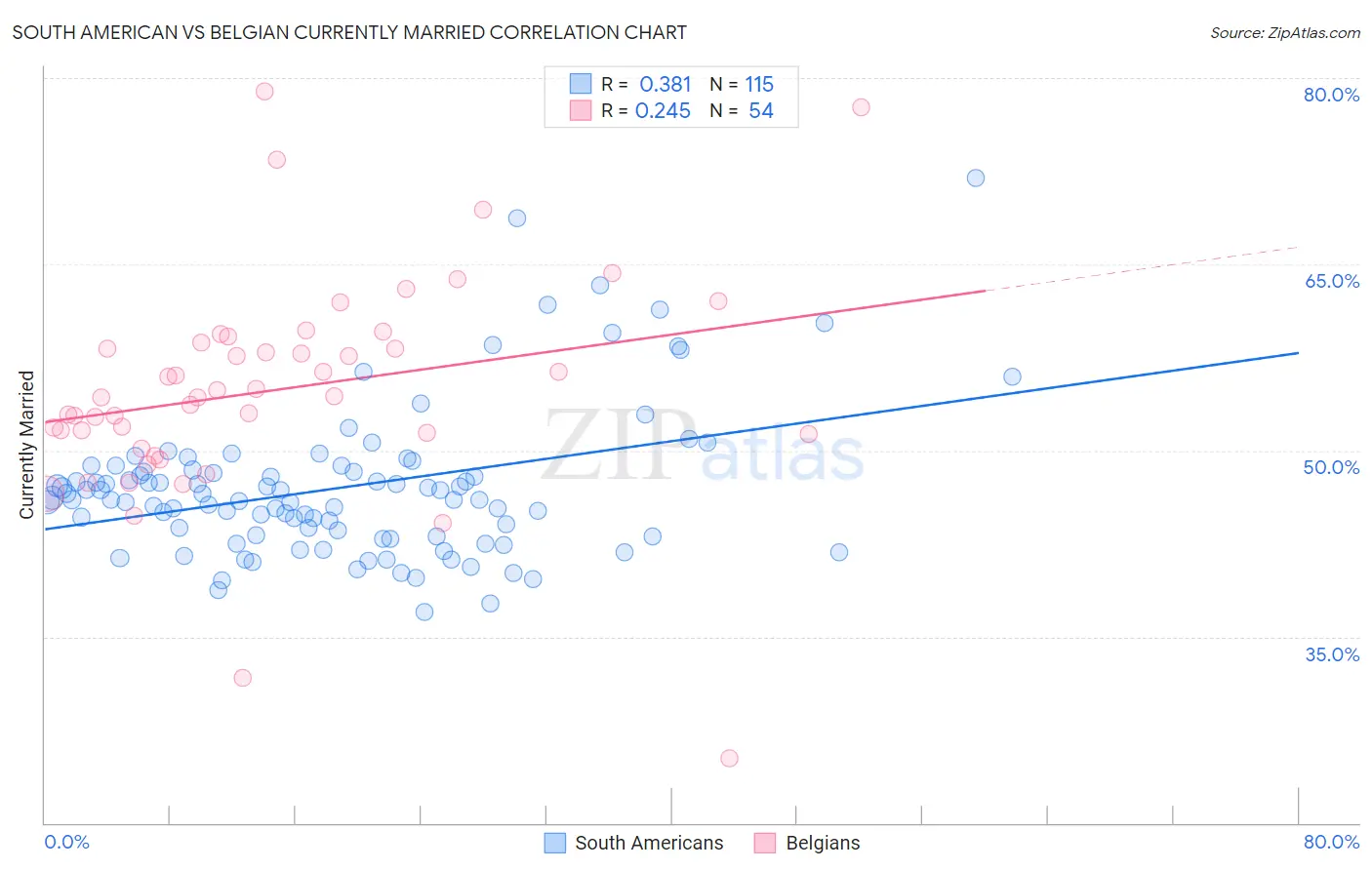South American vs Belgian Currently Married