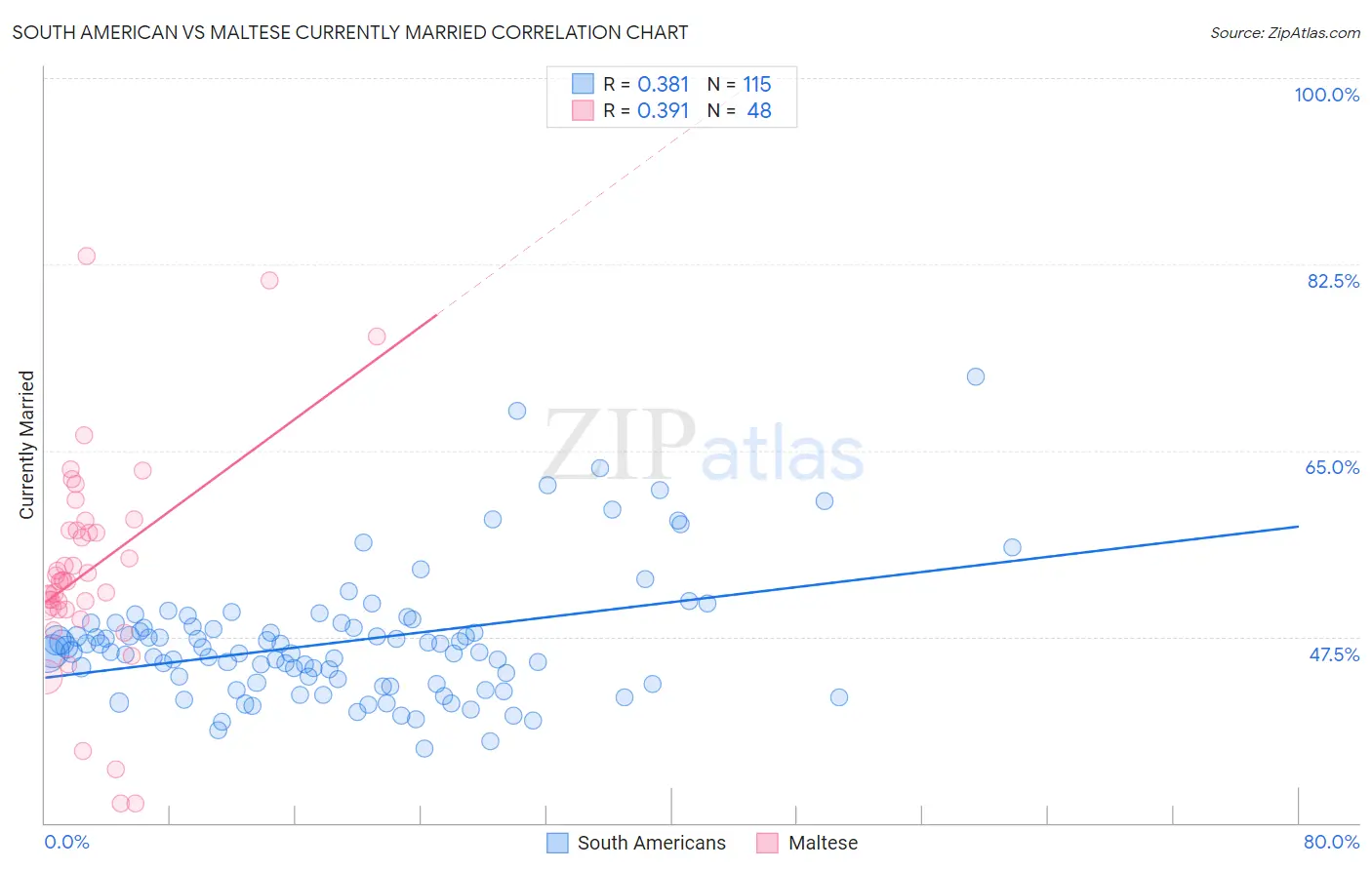 South American vs Maltese Currently Married