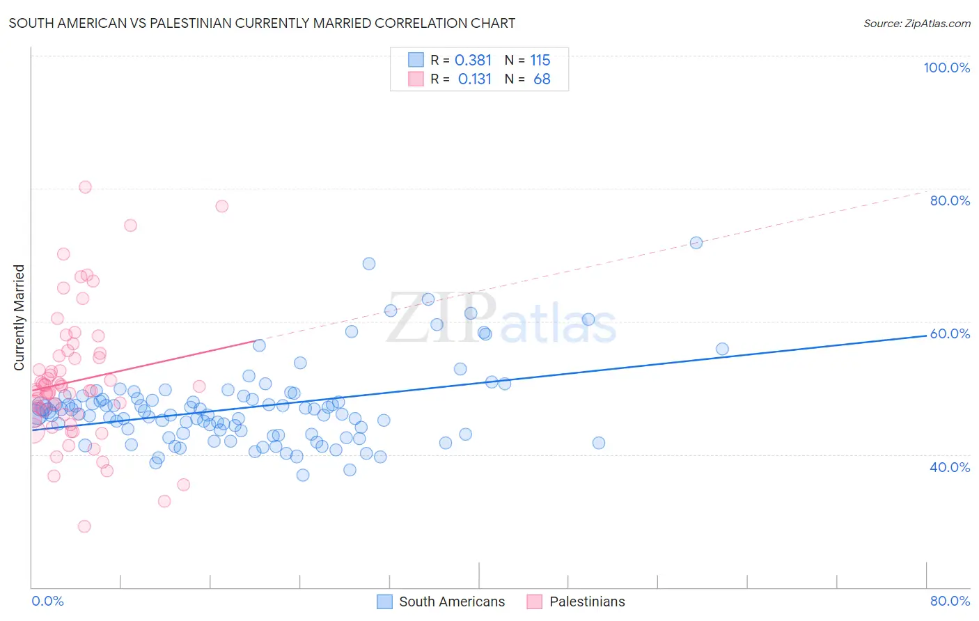 South American vs Palestinian Currently Married