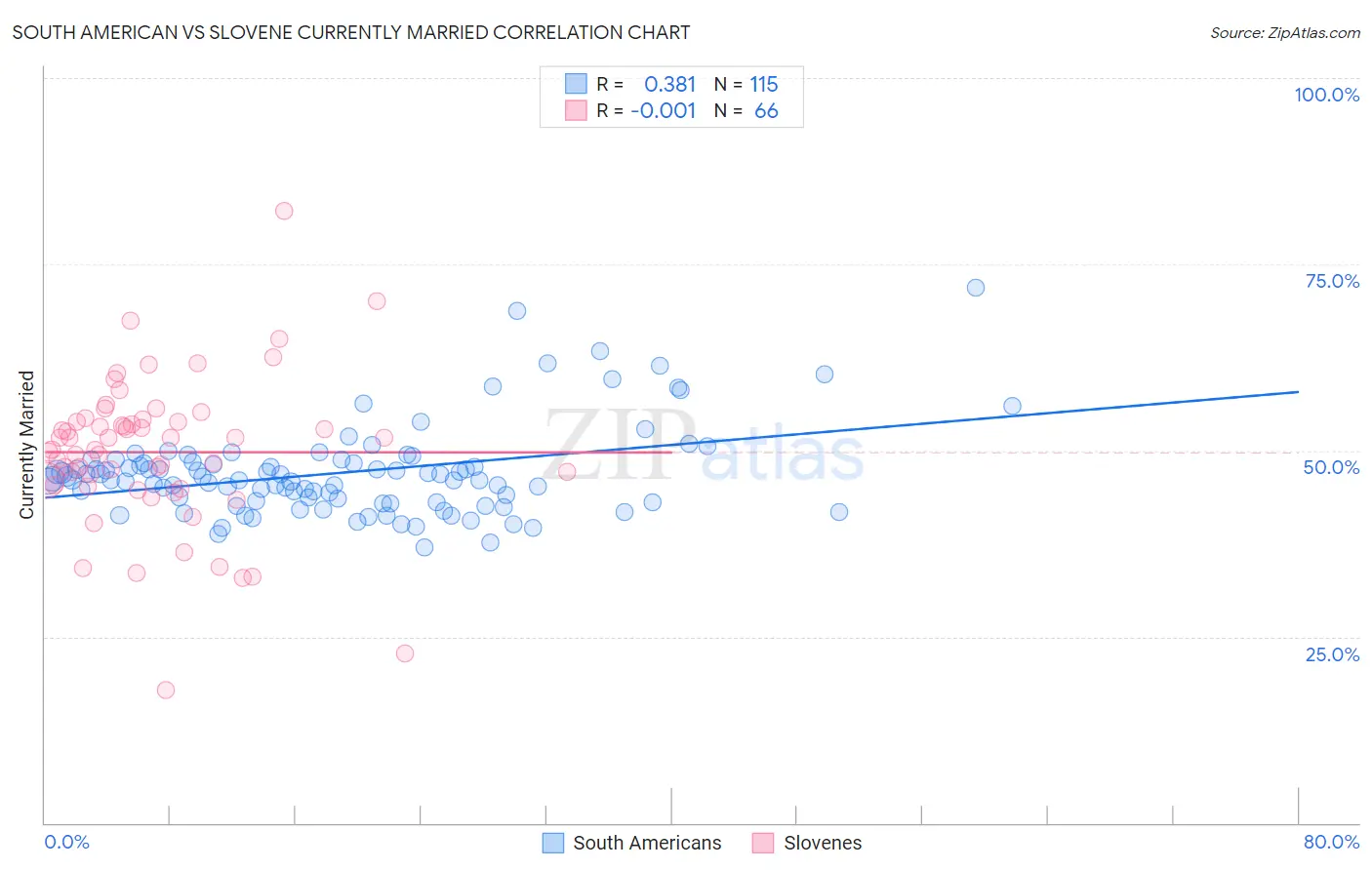 South American vs Slovene Currently Married