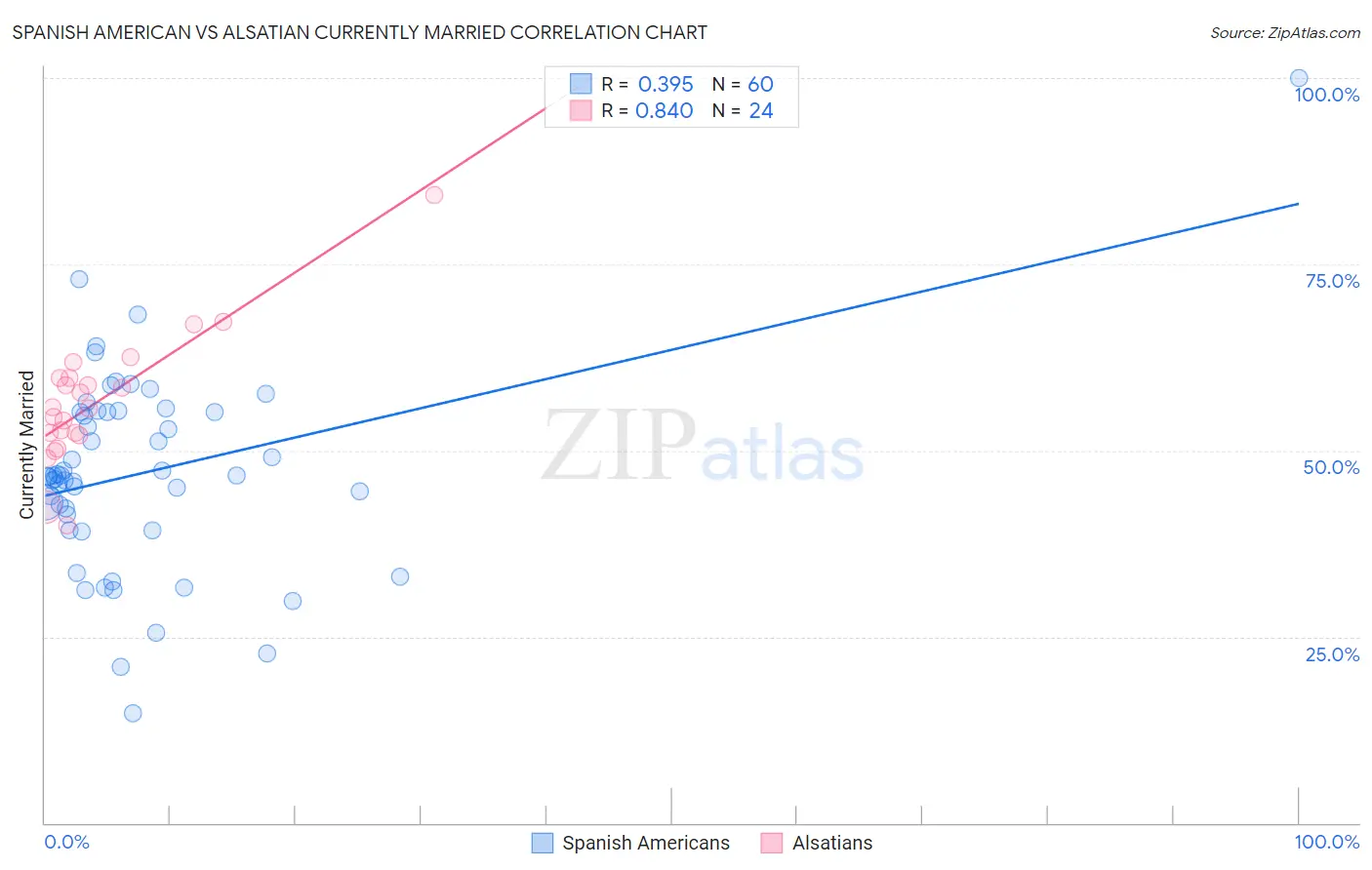 Spanish American vs Alsatian Currently Married