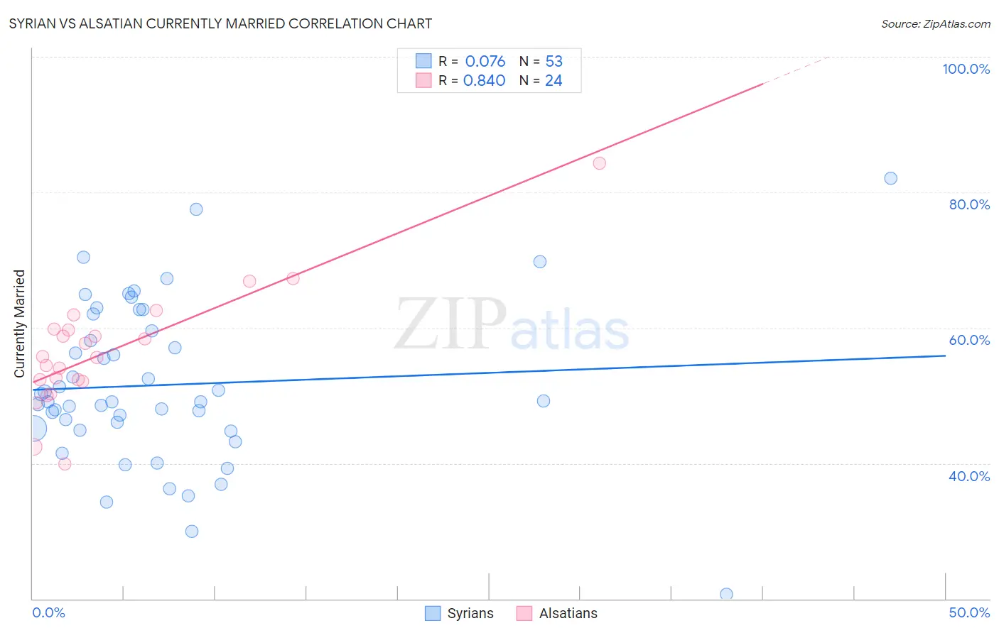 Syrian vs Alsatian Currently Married
