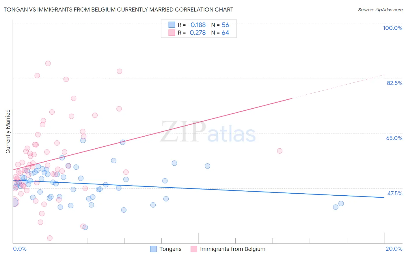 Tongan vs Immigrants from Belgium Currently Married