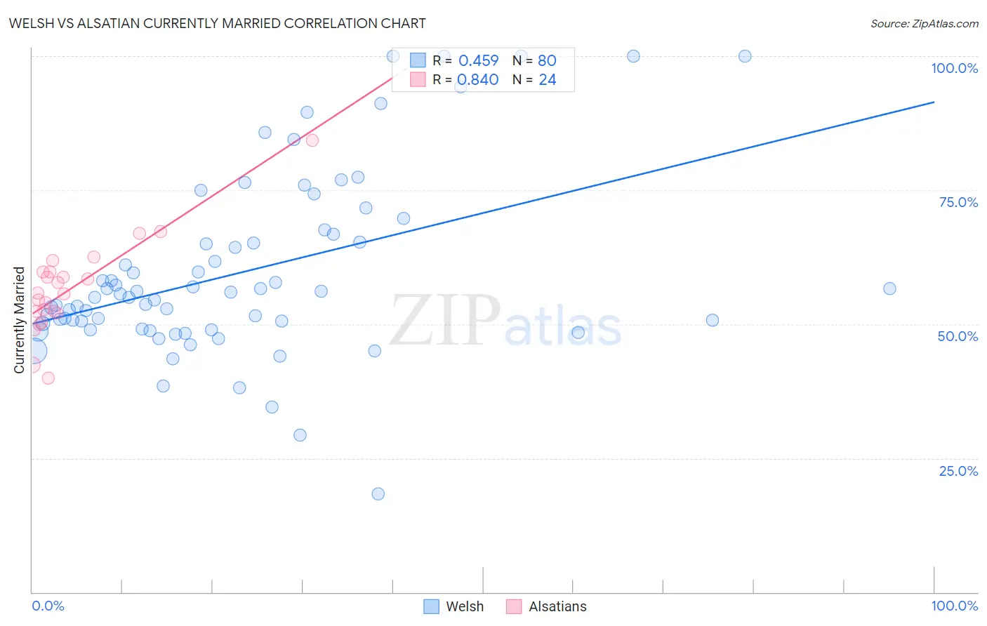 Welsh vs Alsatian Currently Married