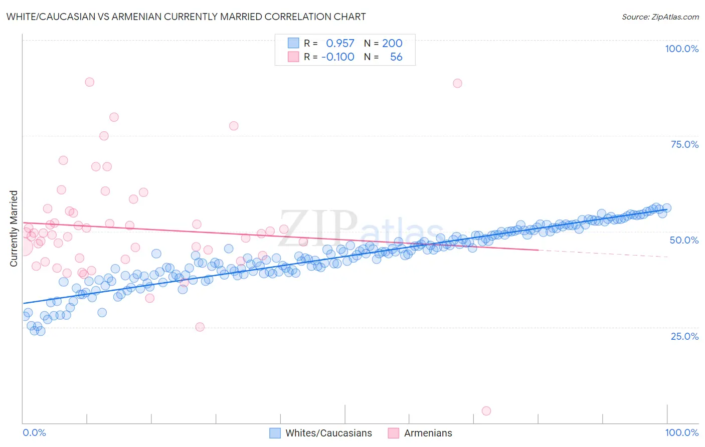 White/Caucasian vs Armenian Currently Married