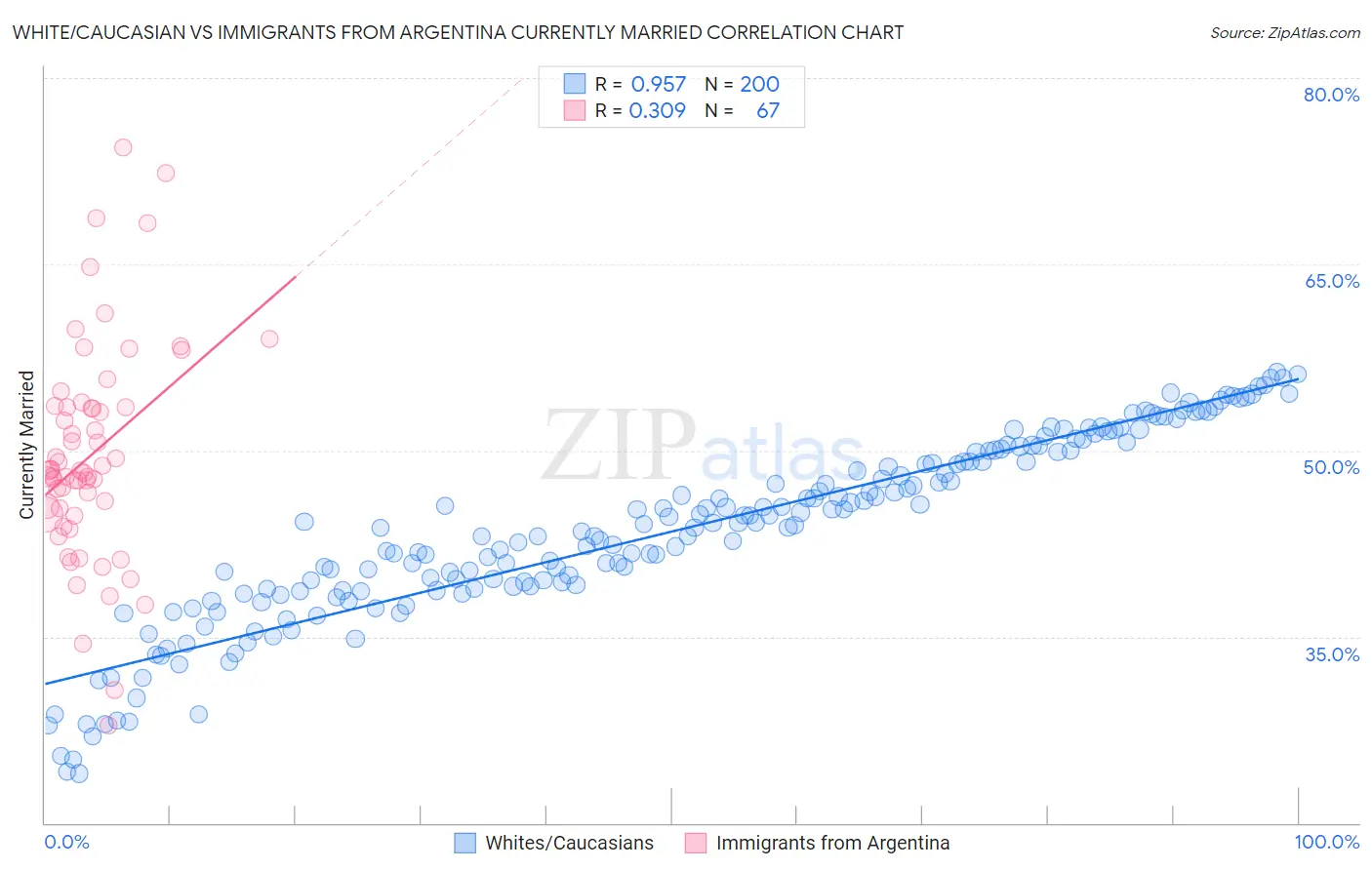 White/Caucasian vs Immigrants from Argentina Currently Married