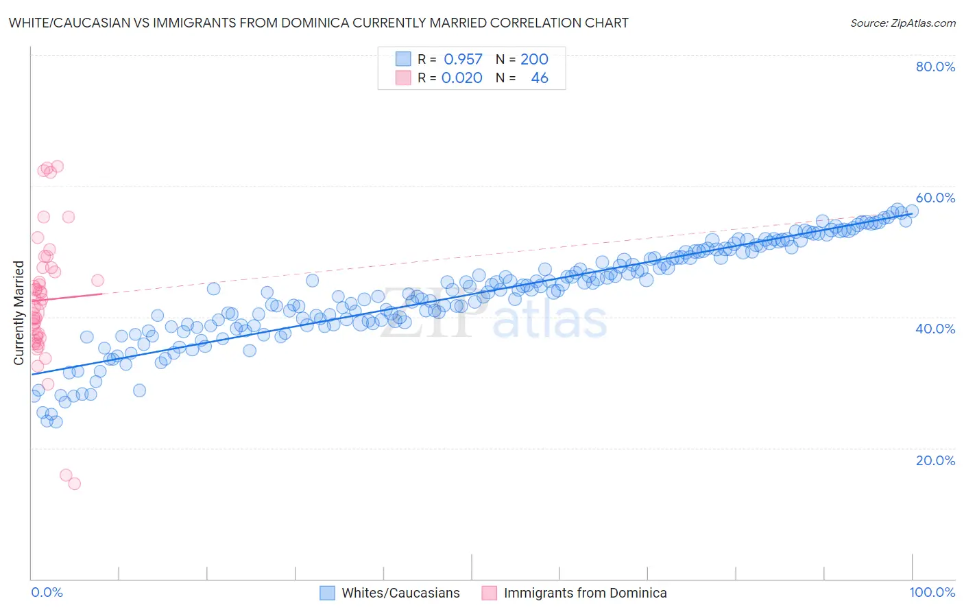 White/Caucasian vs Immigrants from Dominica Currently Married