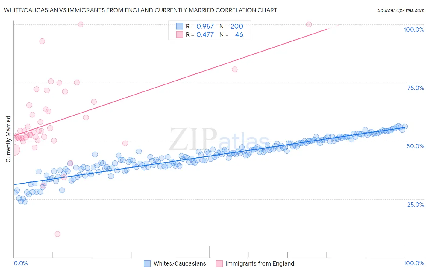 White/Caucasian vs Immigrants from England Currently Married