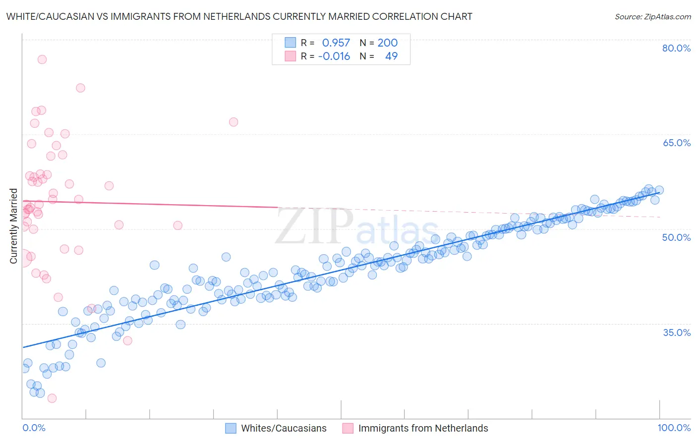 White/Caucasian vs Immigrants from Netherlands Currently Married