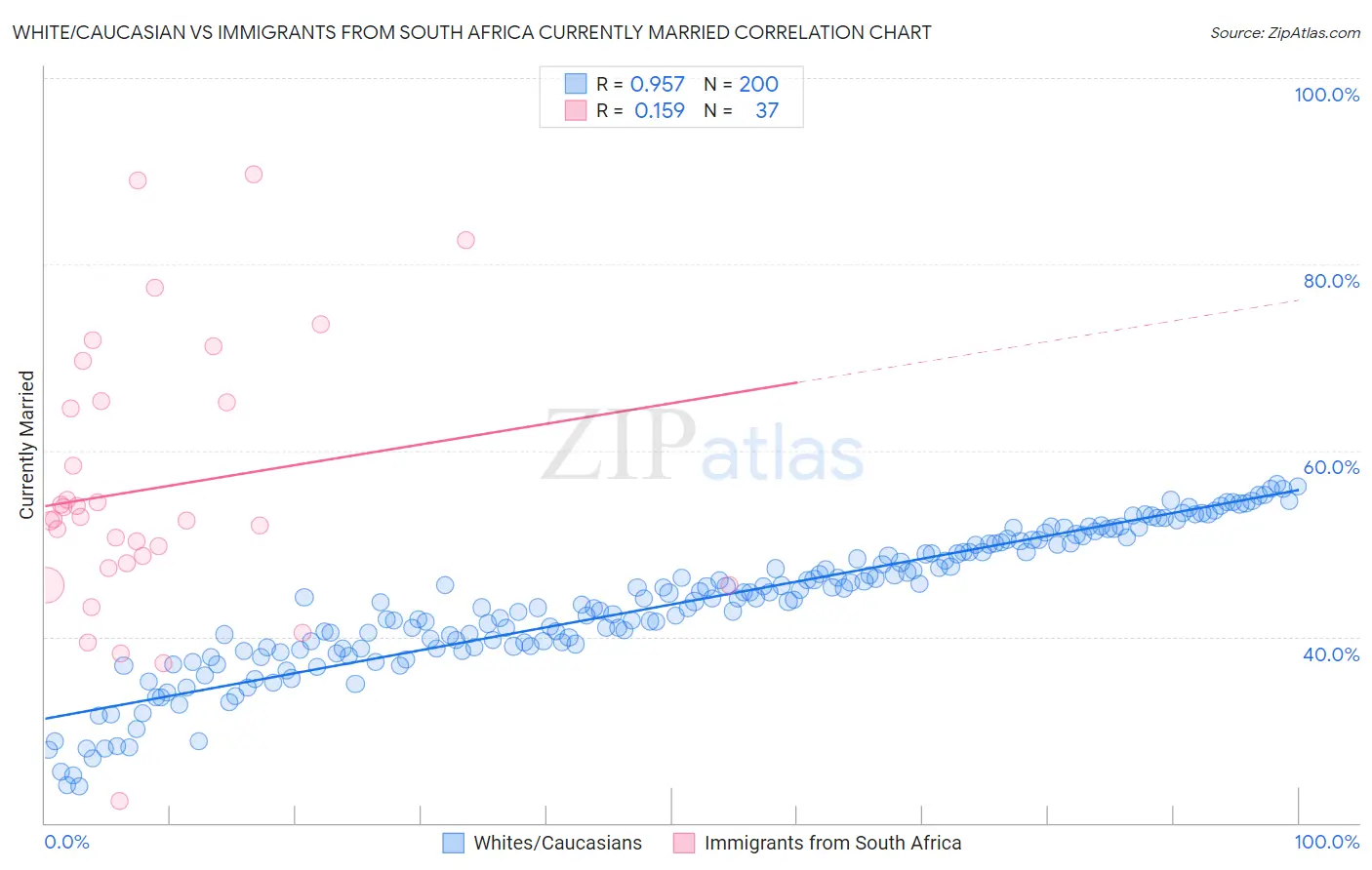 White/Caucasian vs Immigrants from South Africa Currently Married