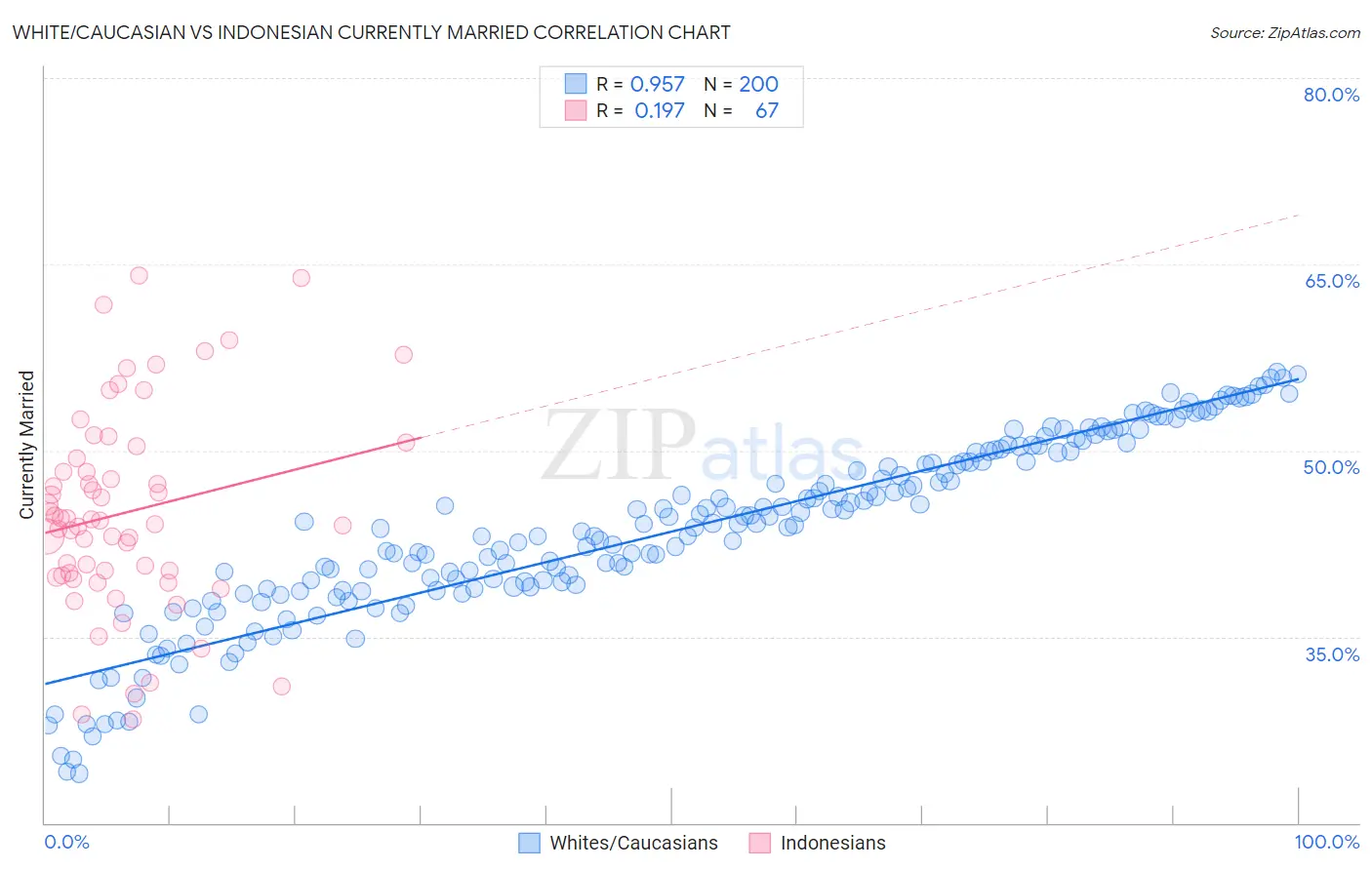 White/Caucasian vs Indonesian Currently Married