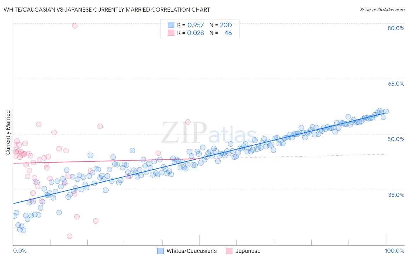 White/Caucasian vs Japanese Currently Married