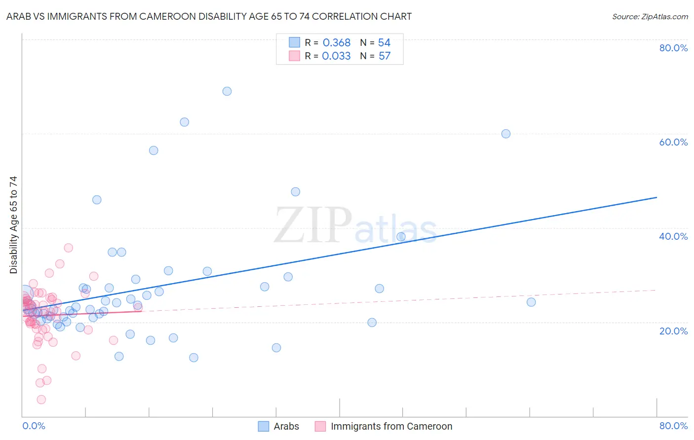 Arab vs Immigrants from Cameroon Disability Age 65 to 74