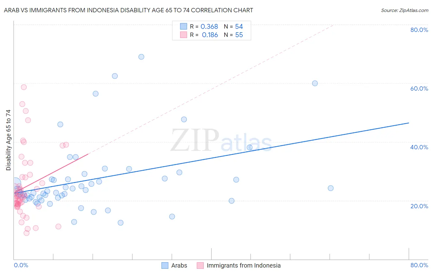 Arab vs Immigrants from Indonesia Disability Age 65 to 74