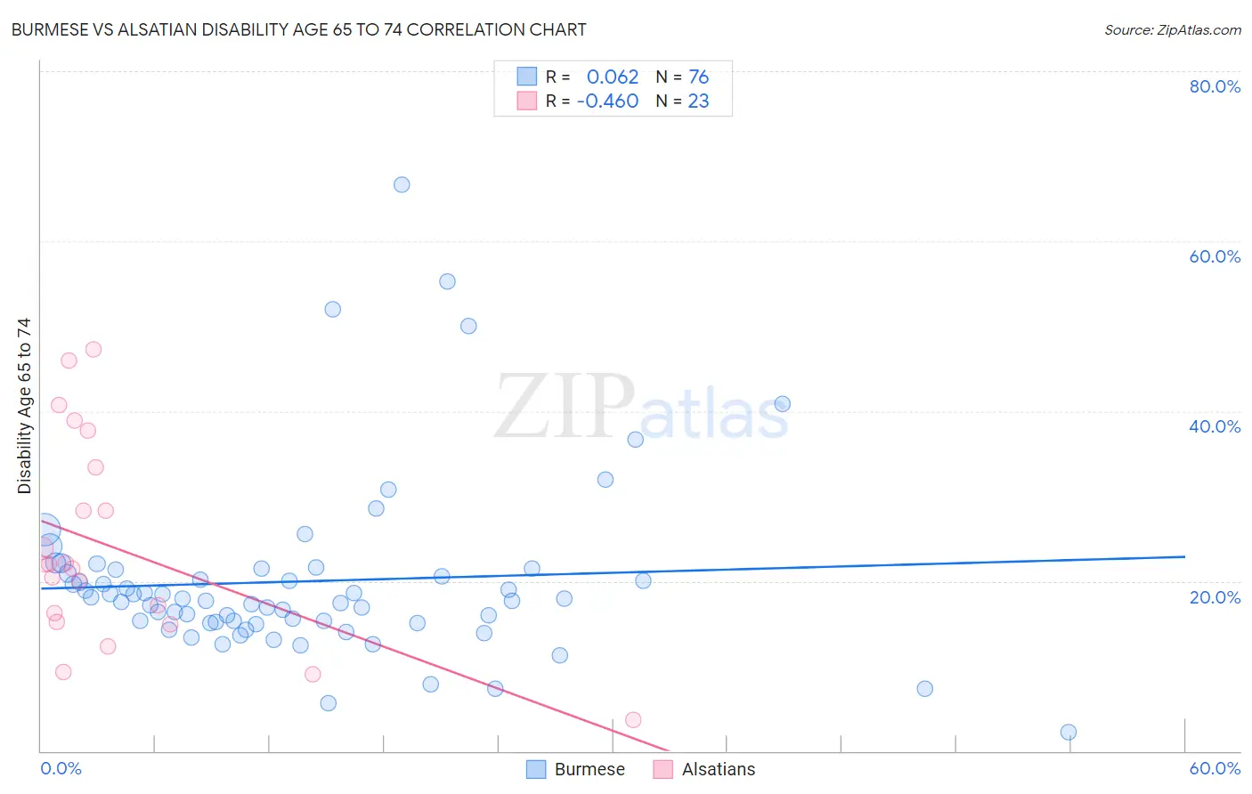 Burmese vs Alsatian Disability Age 65 to 74