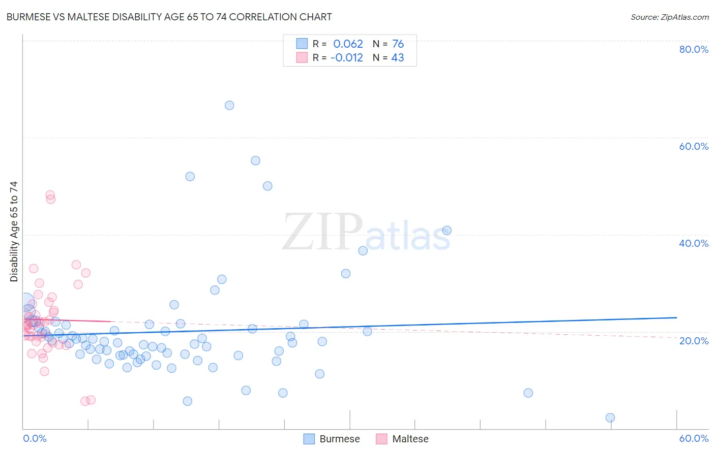 Burmese vs Maltese Disability Age 65 to 74