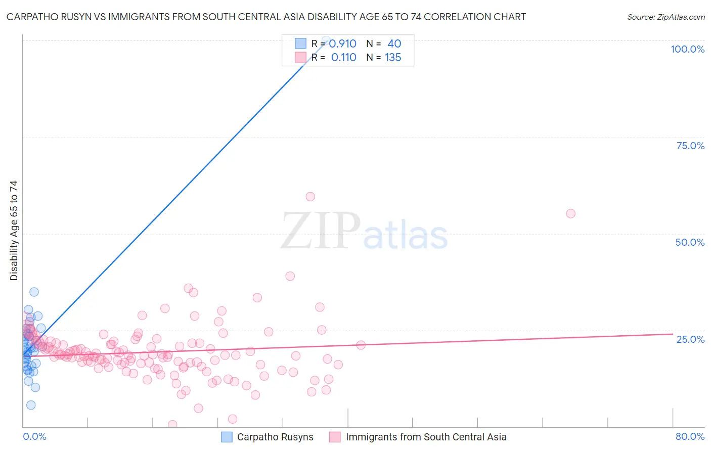 Carpatho Rusyn vs Immigrants from South Central Asia Disability Age 65 to 74