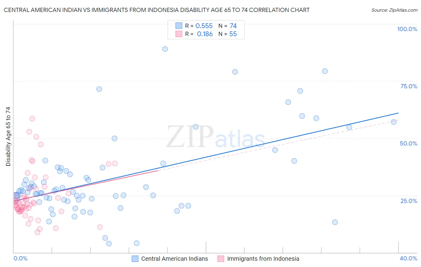 Central American Indian vs Immigrants from Indonesia Disability Age 65 to 74