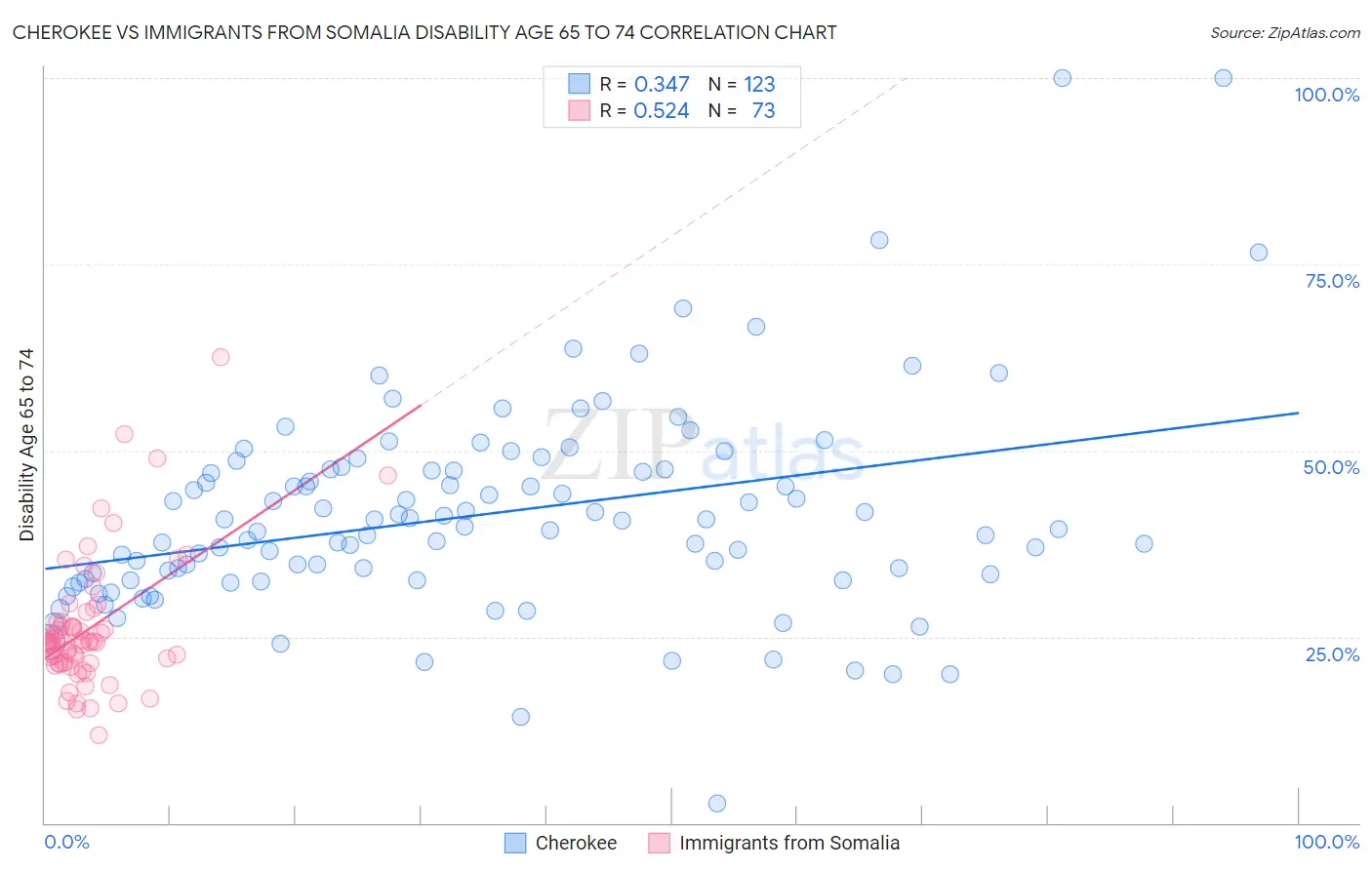 Cherokee vs Immigrants from Somalia Disability Age 65 to 74