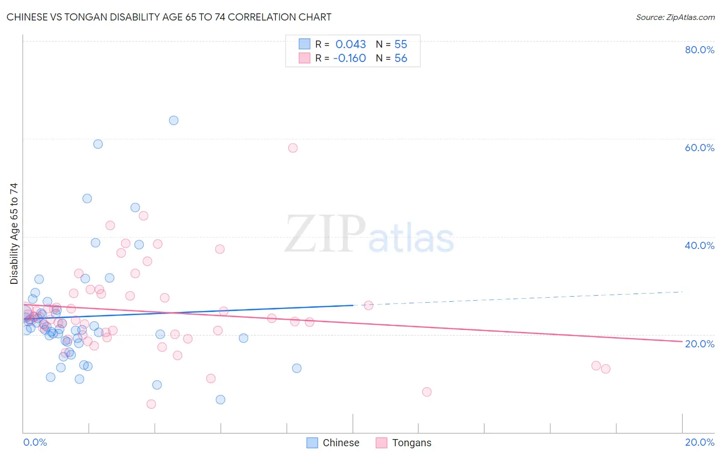 Chinese vs Tongan Disability Age 65 to 74