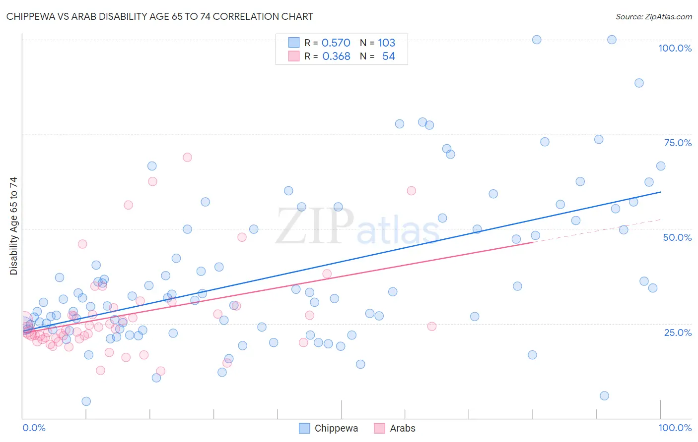 Chippewa vs Arab Disability Age 65 to 74