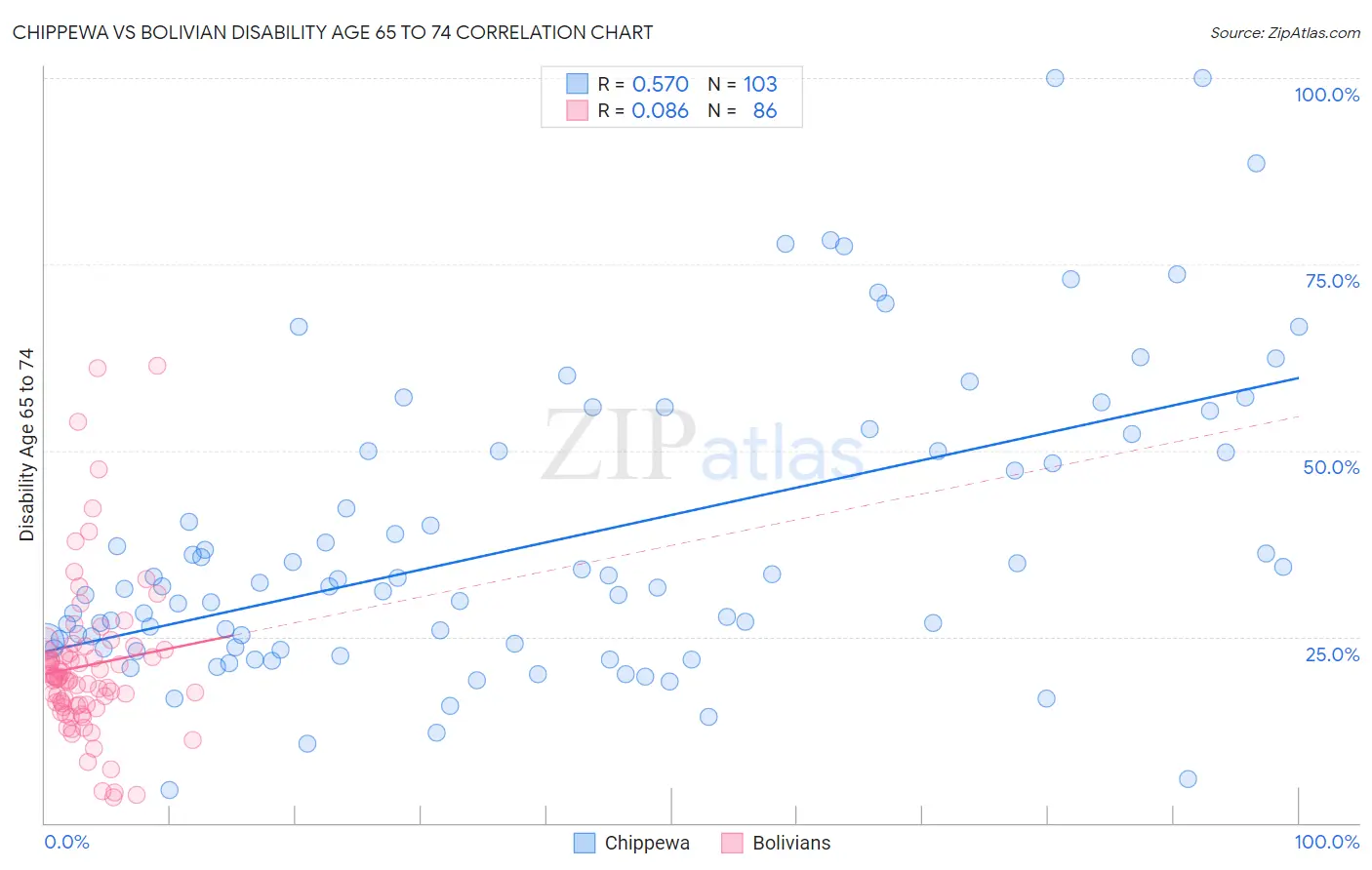 Chippewa vs Bolivian Disability Age 65 to 74