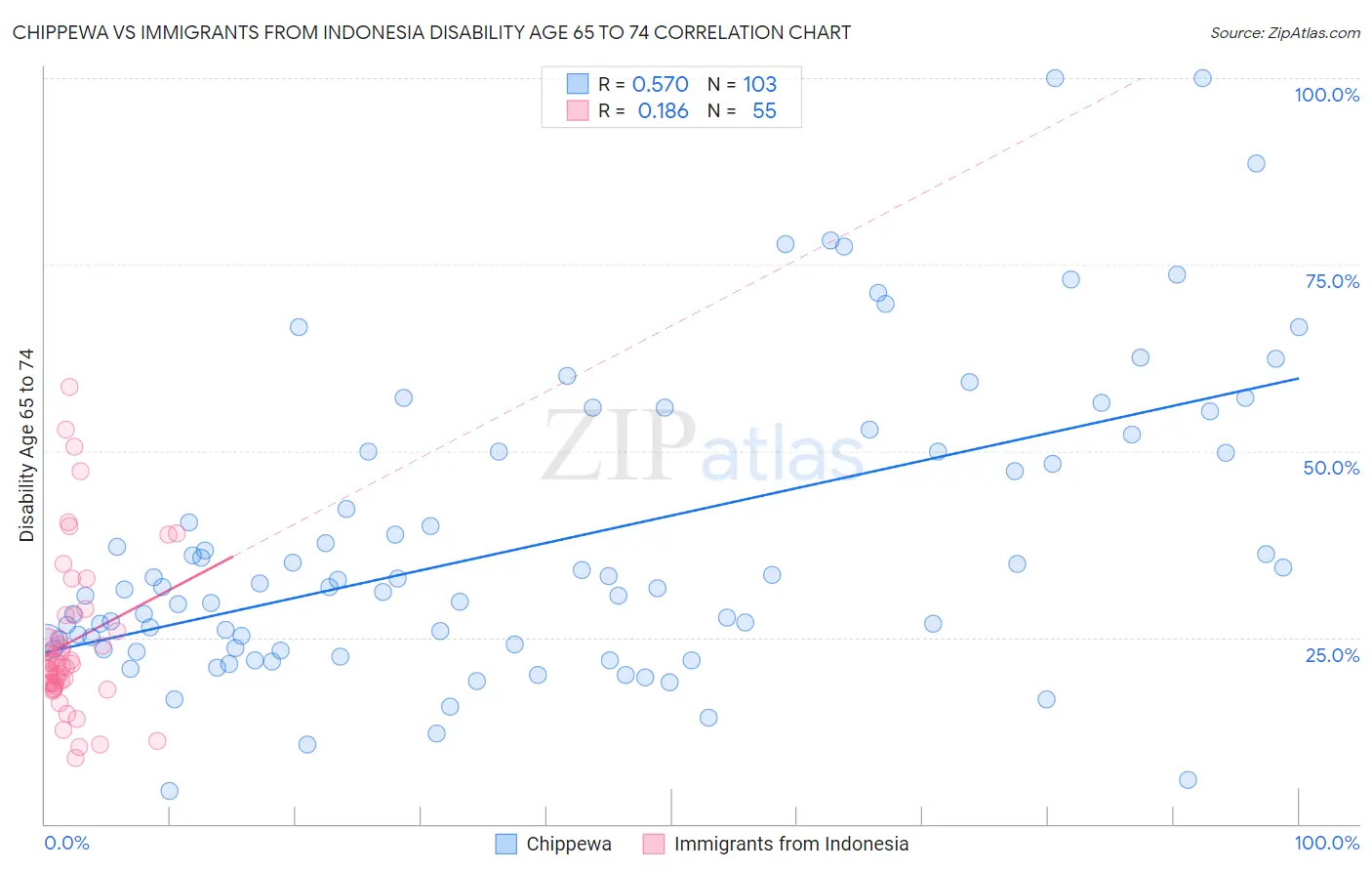 Chippewa vs Immigrants from Indonesia Disability Age 65 to 74