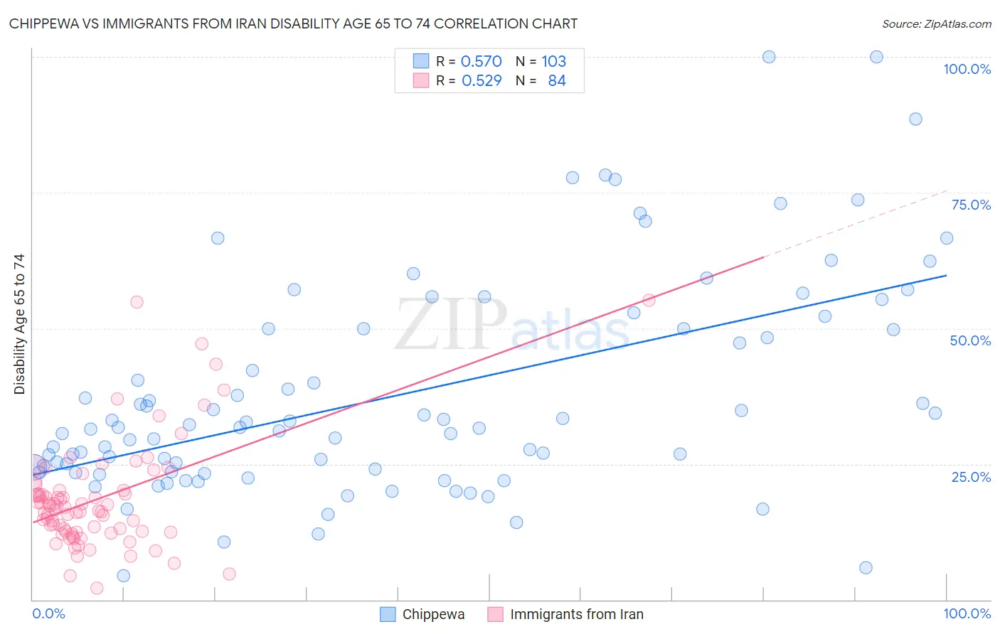 Chippewa vs Immigrants from Iran Disability Age 65 to 74