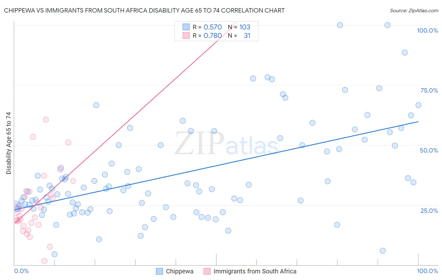 Chippewa vs Immigrants from South Africa Disability Age 65 to 74