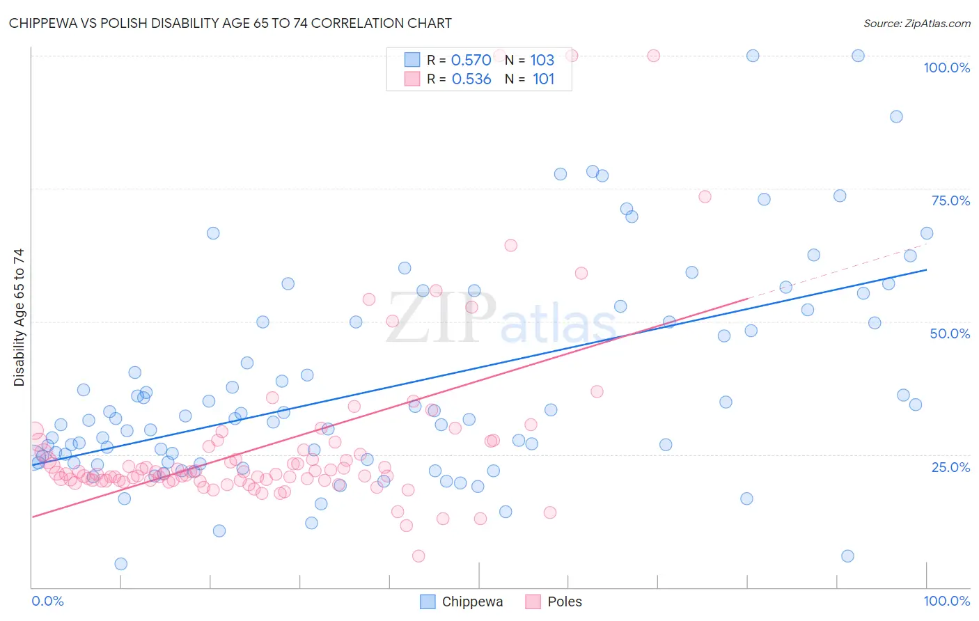 Chippewa vs Polish Disability Age 65 to 74