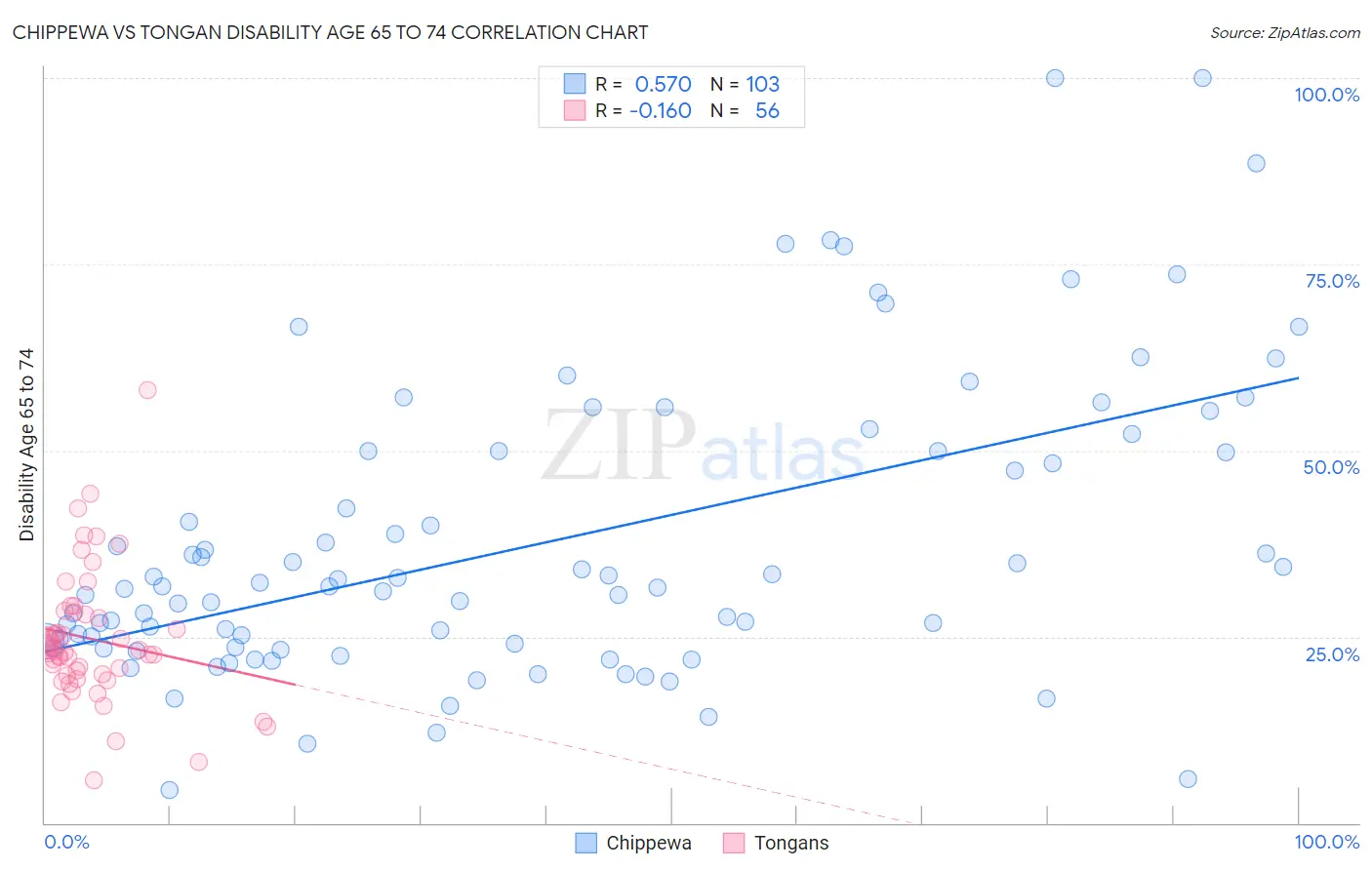 Chippewa vs Tongan Disability Age 65 to 74