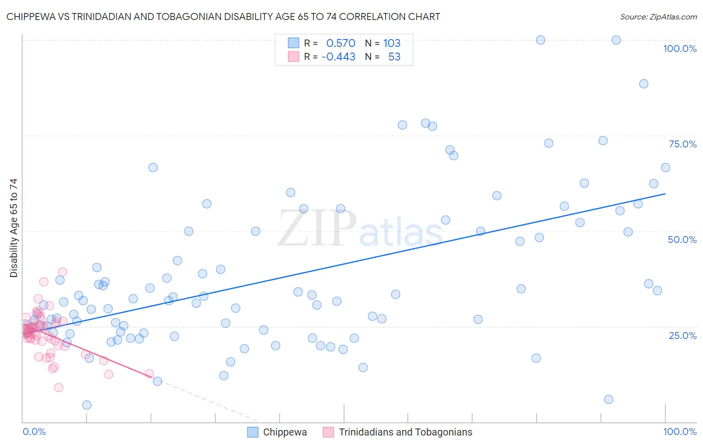 Chippewa vs Trinidadian and Tobagonian Disability Age 65 to 74