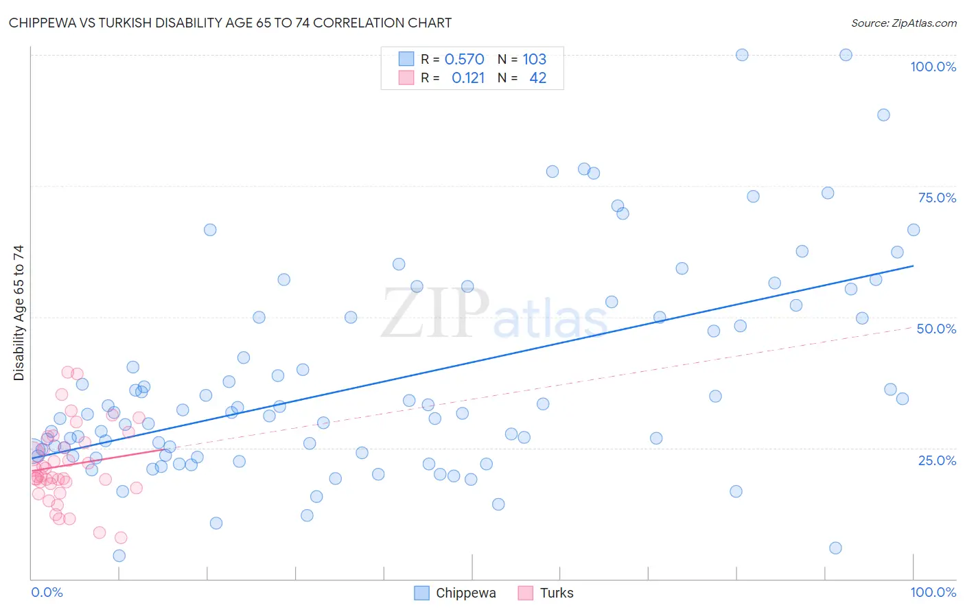 Chippewa vs Turkish Disability Age 65 to 74